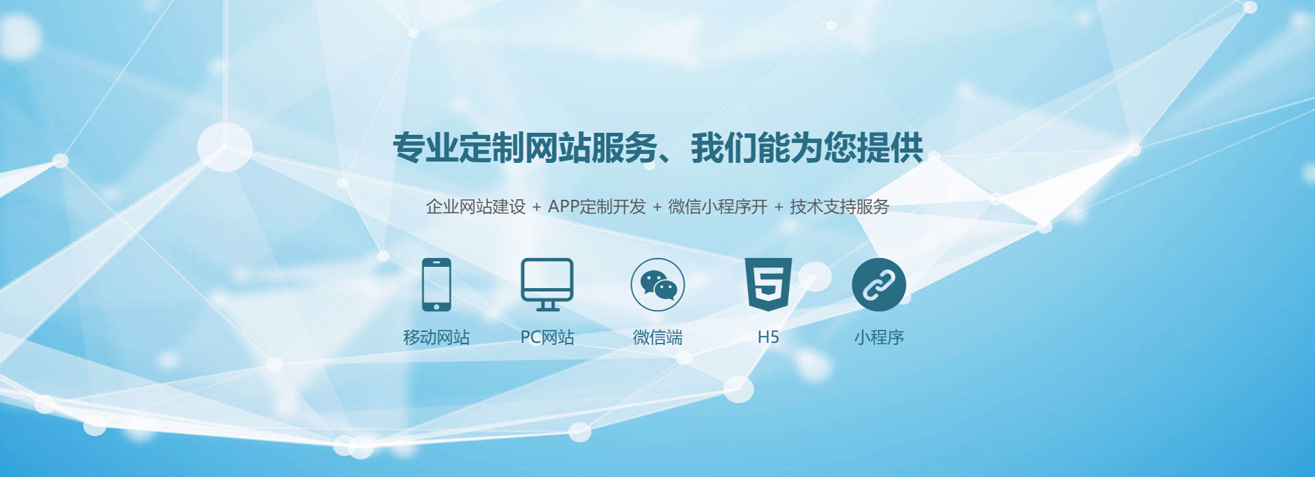 专业定制网站服务，企业网站、APP、小程序开发